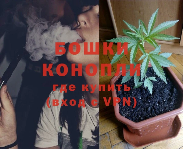 сатива Ахтубинск