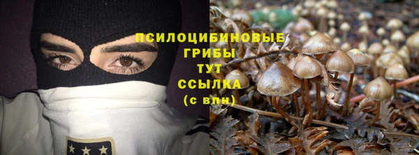 бошки Анива