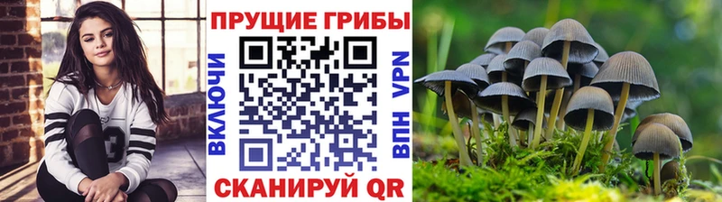 где продают наркотики  Тюкалинск  Псилоцибиновые грибы мухоморы 
